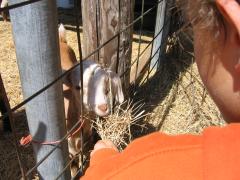 thumbs/img_3202.jpg