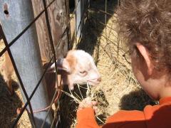 thumbs/img_3204.jpg