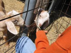thumbs/img_3206.jpg