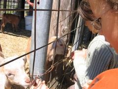thumbs/img_3207.jpg