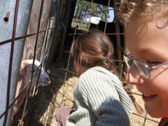 thumbs/img_3208.jpg