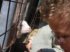 thumbs/img_3210.jpg