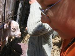 thumbs/img_3211.jpg