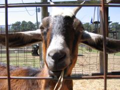 thumbs/img_3212.jpg