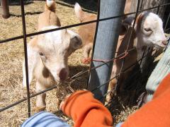 thumbs/img_3213.jpg