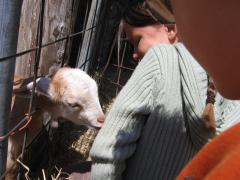 thumbs/img_3214.jpg