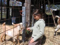 thumbs/img_3216.jpg
