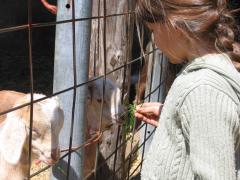thumbs/img_3217.jpg