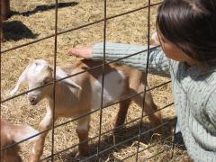 thumbs/img_3220.jpg