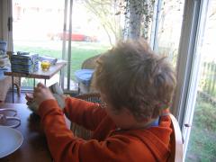 thumbs/img_3255.jpg