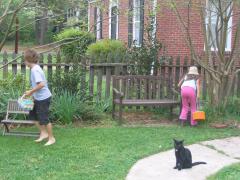thumbs/img_3359.jpg
