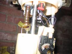 thumbs/img_3372.jpg