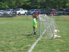 thumbs/img_3448.jpg