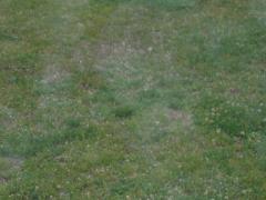 thumbs/img_3573.jpg