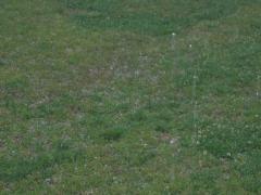 thumbs/img_3575.jpg