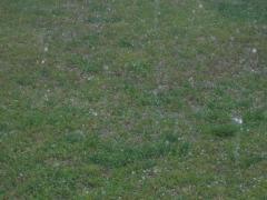 thumbs/img_3577.jpg