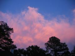 thumbs/img_3581.jpg