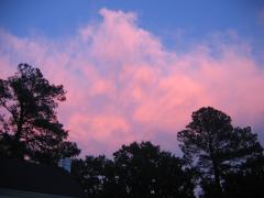 thumbs/img_3582.jpg