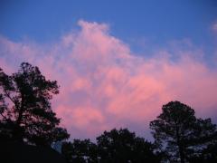 thumbs/img_3583.jpg
