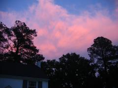 thumbs/img_3584.jpg