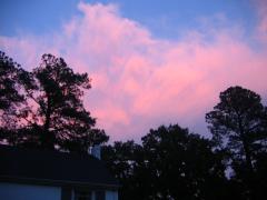 thumbs/img_3585.jpg
