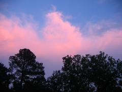 thumbs/img_3586.jpg
