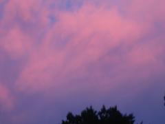 thumbs/img_3587.jpg