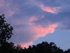 thumbs/img_3588.jpg