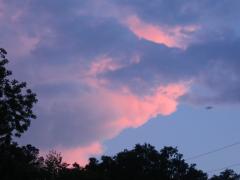 thumbs/img_3589.jpg