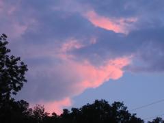 thumbs/img_3590.jpg