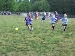 thumbs/img_3597.jpg