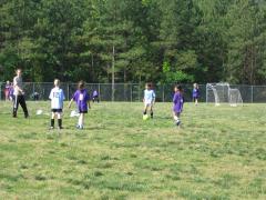 thumbs/img_3603.jpg