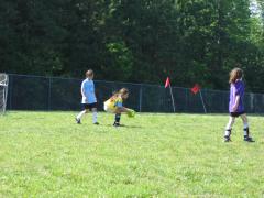 thumbs/img_3608.jpg