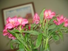 thumbs/img_3712.jpg