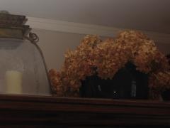 thumbs/img_3721.jpg