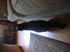 thumbs/img_3732.jpg
