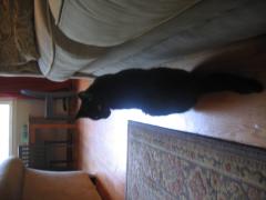 thumbs/img_3733.jpg