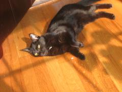 thumbs/img_3743.jpg