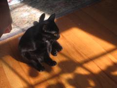 thumbs/img_3744.jpg