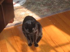 thumbs/img_3745.jpg