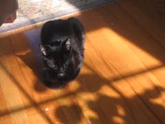 thumbs/img_3746.jpg