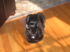 thumbs/img_3747.jpg