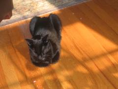 thumbs/img_3748.jpg