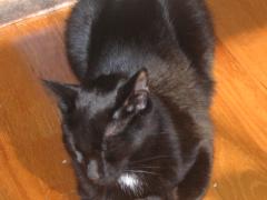thumbs/img_3749.jpg