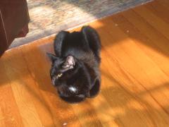 thumbs/img_3750.jpg