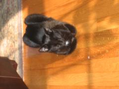 thumbs/img_3751.jpg