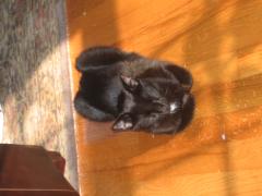 thumbs/img_3752.jpg