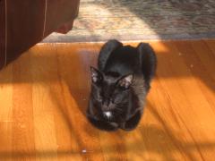 thumbs/img_3753.jpg