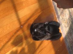 thumbs/img_3754.jpg