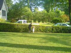 thumbs/dsc00756.jpg